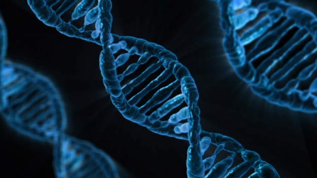 DNA as data storage